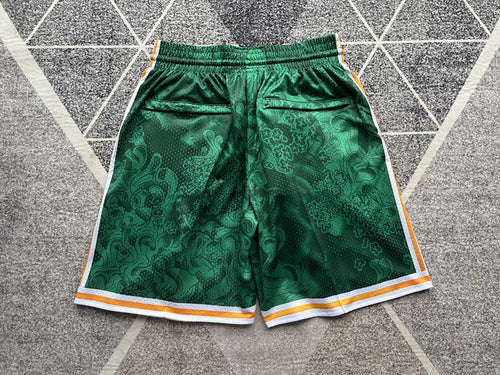 Multi-color Boston Celtics premium basketball shorts, full back view