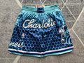 Blue Charlotte Hornets premium basketball shorts, full front view