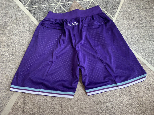 Multi-color Charlotte Hornets premium basketball shorts, full back view