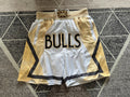 Off-White Chicago Bulls premium basketball shorts, full front view