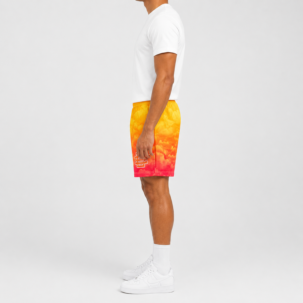 Sunset Fade mesh shorts - back angle view