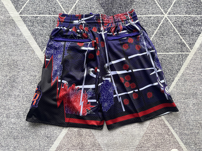 Multi-color Toronto Raptors premium basketball shorts, full back view