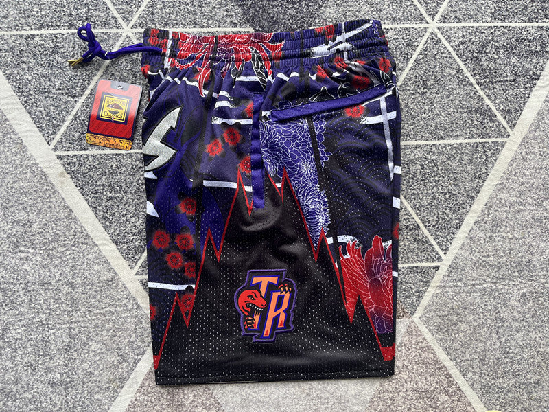 Multi-color Toronto Raptors premium basketball shorts, side panel detail