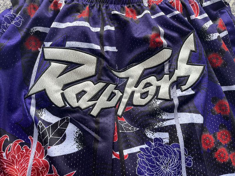 Multi-color Toronto Raptors premium basketball shorts, waistband and label detail